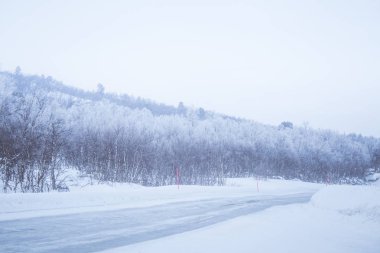 Güzel bir beyaz yol Emanet Polonyalılar ile merkez Norveç'te orman yoluyla. Güzel kış manzara İskandinavya.