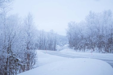 Güzel bir beyaz yol Emanet Polonyalılar ile merkez Norveç'te orman yoluyla. Güzel kış manzara İskandinavya.