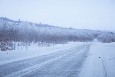 Güzel bir beyaz yol Emanet Polonyalılar ile merkez Norveç'te orman yoluyla. Güzel kış manzara İskandinavya.