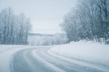 Güzel bir beyaz yol Emanet Polonyalılar ile merkez Norveç'te orman yoluyla. Güzel kış manzara İskandinavya.