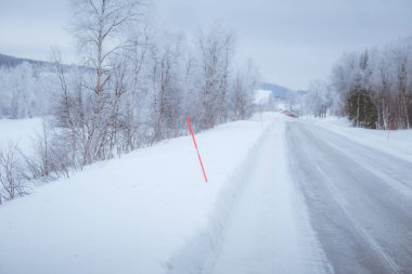 Güzel bir beyaz yol Emanet Polonyalılar ile merkez Norveç'te orman yoluyla. Güzel kış manzara İskandinavya.
