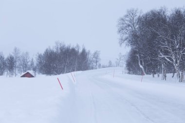 Güzel bir beyaz yol Emanet Polonyalılar ile merkez Norveç'te orman yoluyla. Güzel kış manzara İskandinavya.