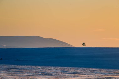 Güzel renkli kış günbatımı Merkez Norveç'te. Dağların üzerinden sıcak akşam ışığı.