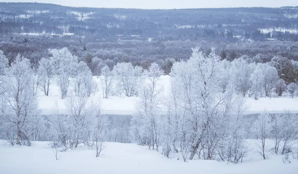 銀行に木がある美しい凍った川 中央ノルウェーの白い冬の風景です 光の風景 — ストック写真