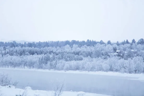 Красиві Замерзла Річка Дерева Березі Білий Зимовий Пейзаж Норвегії Світло — стокове фото