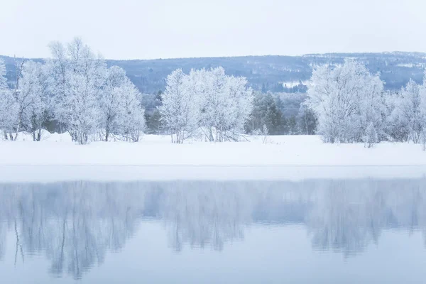 Bir ağaçta bir banka ile güzel donmuş nehir. Merkez Norveç'in beyaz kış manzarası. Işık sahne.