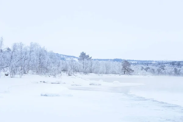 Bellissimo Fiume Ghiacciato Con Alberi Una Riva Bianco Paesaggio Invernale — Foto Stock