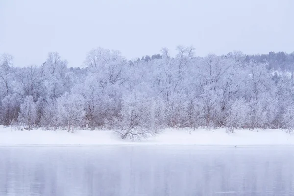 Bir ağaçta bir banka ile güzel donmuş nehir. Merkez Norveç'in beyaz kış manzarası. Işık sahne.