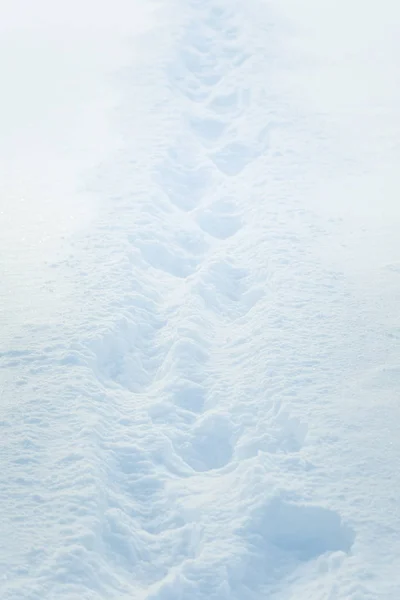 Όμορφο Φρέσκο Χιόνι Μοτίβο Μινιμαλιστικό Στιλ Χειμώνα Φόντο Νορβηγία Βόρεια — Φωτογραφία Αρχείου