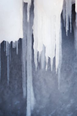 Tuzlu su Baltık Denizi kıyısında bir güzel hangign buz sarkıtları. Plaj kış buz. Donmuş su oluşumları.