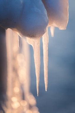Tuzlu su Baltık Denizi kıyısında bir güzel hangign buz sarkıtları. Plaj kış buz. Donmuş su oluşumları.