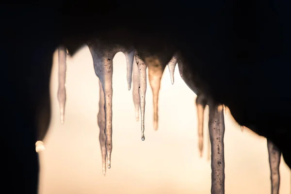 Belo Pingente Água Salgada Costa Mar Báltico Gelo Praia Inverno — Fotografia de Stock