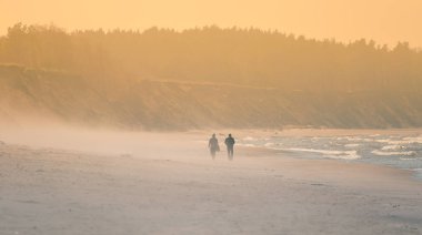 Baltık Denizi kumsalda bir güzel sabah manzara. Sanat, renkli deniz Kıyı Bahar toplayan. Rüzgarlı bir gün.