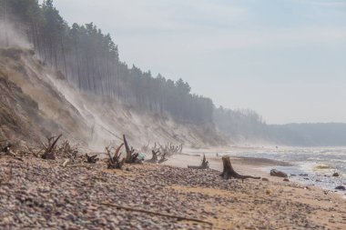 Güzel bir plaj manzara kum kadar yüksek kumlu kayalıklarla esen rüzgar rüzgarlı bir günde. Bahar sahne kıyamet bakışla denizde.