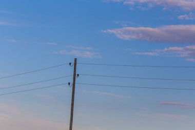 Tek elektrik direğine mavi gökyüzü arka plan telleri ile. Sanayi güç.