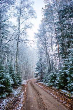 Sonbaharın sonlarında ilk karla çakıllı bir yolun güzel manzarası. Kışın başında Kuzey Avrupa manzarası.