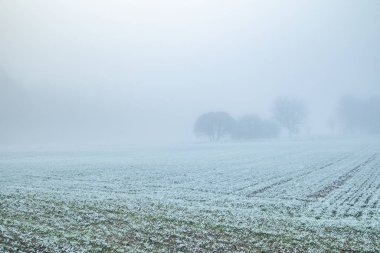 Avrupa kırsalında güzel bir kış manzarası. İlk kar manzarası. Parlak sabah.