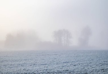 Avrupa kırsalında güzel bir kış manzarası. İlk kar manzarası. Parlak sabah.