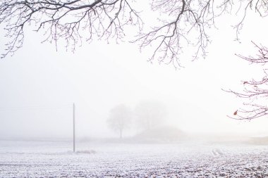 Avrupa kırsalında güzel bir kış manzarası. İlk kar manzarası. Parlak sabah.