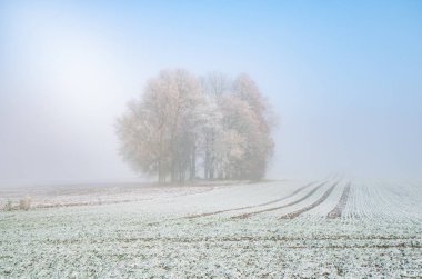 Avrupa kırsalında güzel bir kış manzarası. İlk kar manzarası. Parlak sabah.