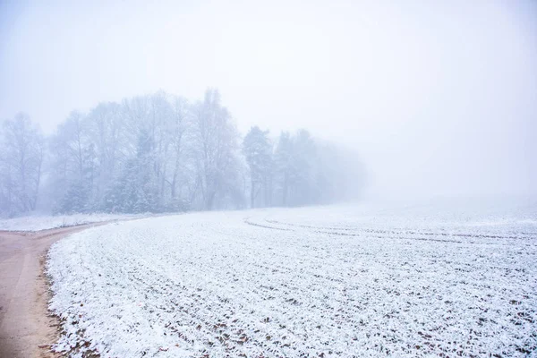 Красивый Пейзаж Гравийной Дороги Поздней Осенью Первым Снегом Северная Европа — стоковое фото