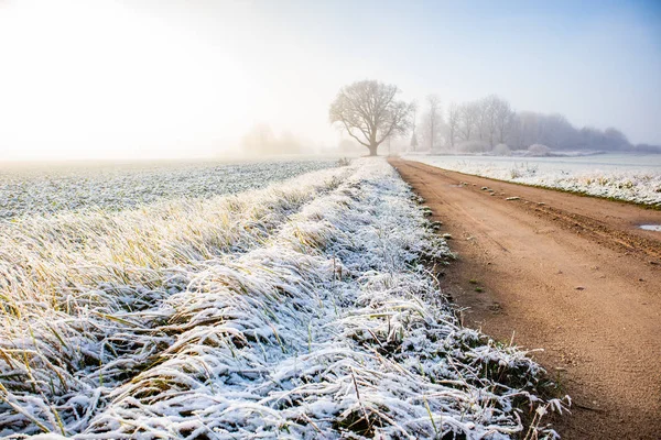Красивый Пейзаж Гравийной Дороги Поздней Осенью Первым Снегом Северная Европа — стоковое фото