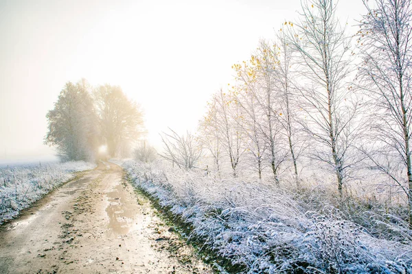 Прекрасний Пейзаж Гравійної Дороги Кінці Осені Першим Снігом Північноєвропейський Ландшафт — стокове фото