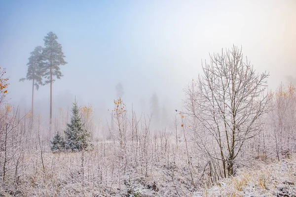 Uma Bela Paisagem Inverno Paisagem Rural Europeia Primeira Paisagem Neve — Fotografia de Stock