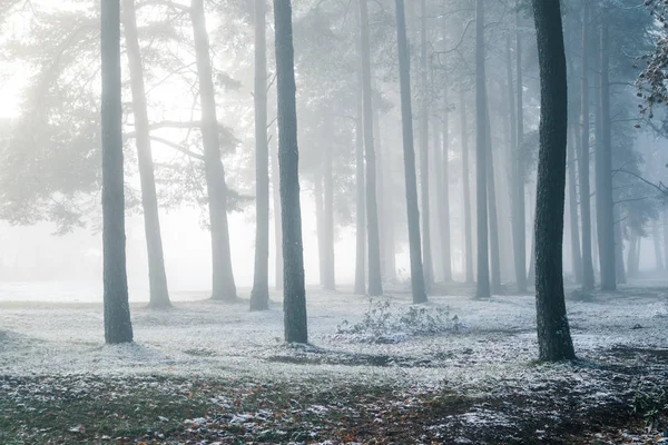 Nádherná Zimní Scenérie Evropském Venkově První Sněhová Krajina Jasné Ráno — Stock fotografie
