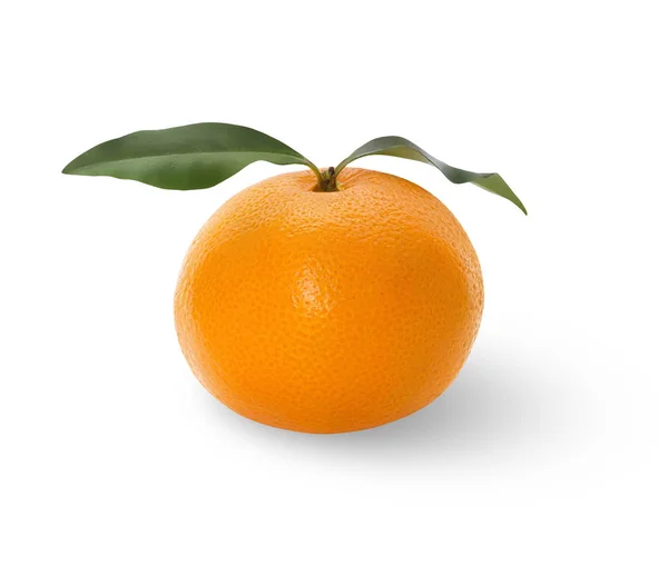 Mandarin taze yapraklarla izole. Meyve kırpma yoluyla ambalaj için.