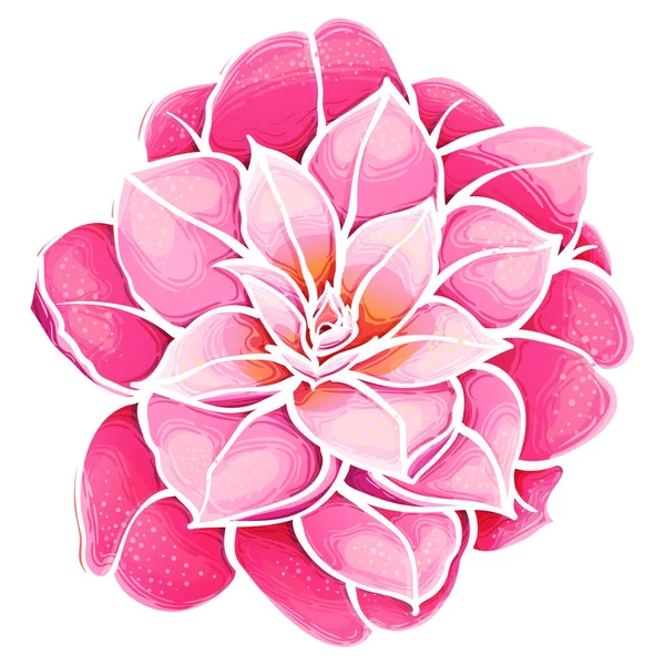 Exotic pink flower. Camellia. Paradise flower.