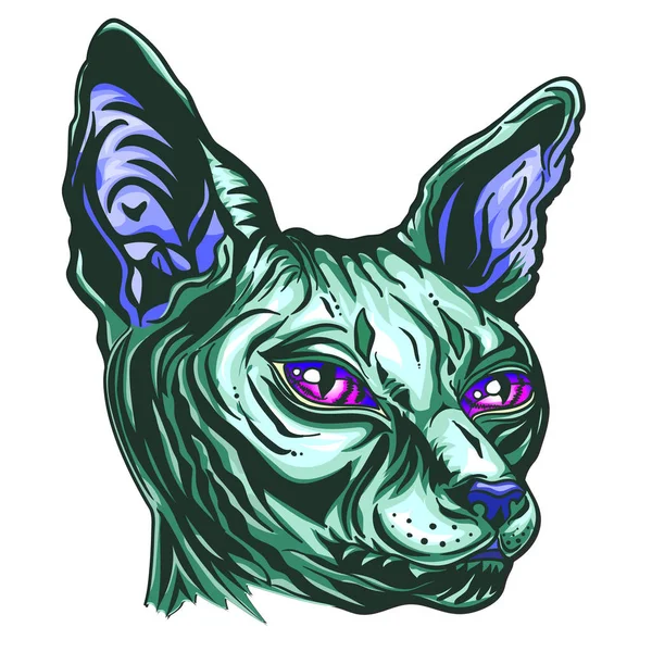 Portrait of a Sphinx cat. Demonic green cat with purple eyes. Cat monster. Hand drawn cat breed Sphinx. Hairless naked cat. Graphic vector illustration. — Stock Vector