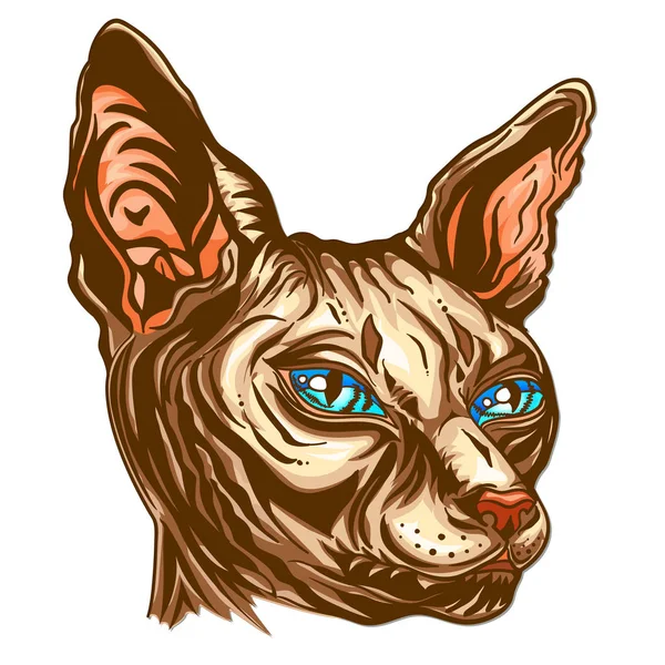 Portrait d'un chat Sphinx aux yeux bleus. Race de chat dessinée à la main Sphinx. Chat nu sans poils. Illustration vectorielle graphique . — Image vectorielle