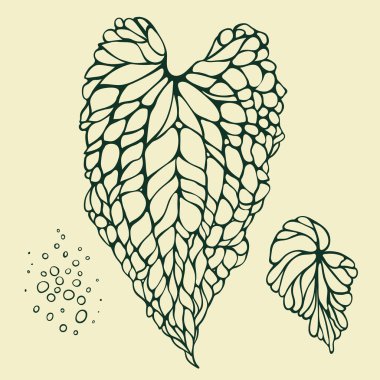 Elle çizilmiş grafik çizimi. Beyaz arkaplanda damarlı yapraklar, vektör grafik monokrom resimlemesi