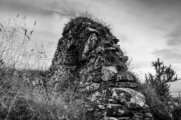 Kilchattan kilise kalıntıları otlar ve gorse ile