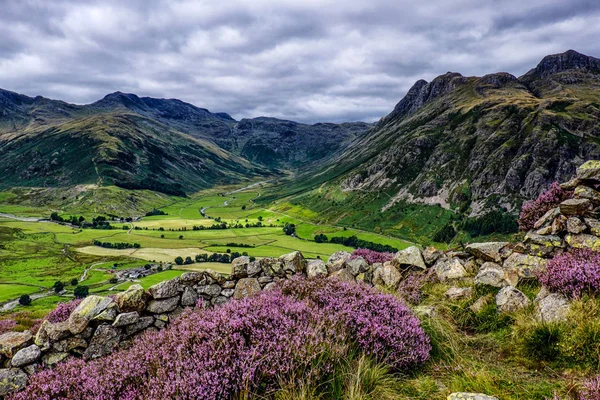 Langdale Valley, com urze em primeiro plano — Fotografia de Stock