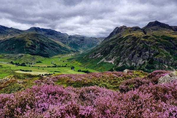 Paisaje de verano - Valle de Langdale, Distrito de los Lagos —  Fotos de Stock