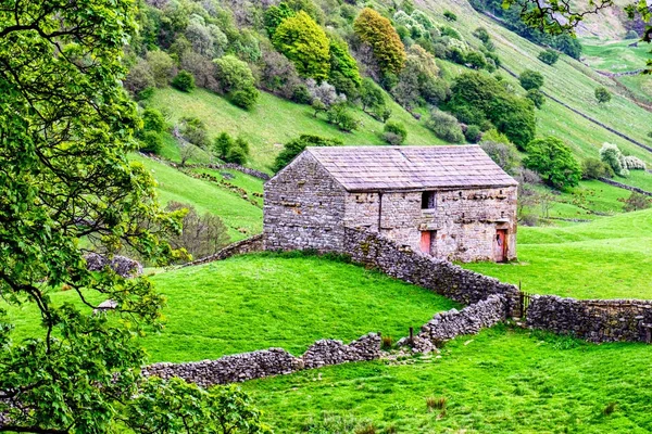 Geleneksel taş ahır, Swaledale. Yorkshire Dales