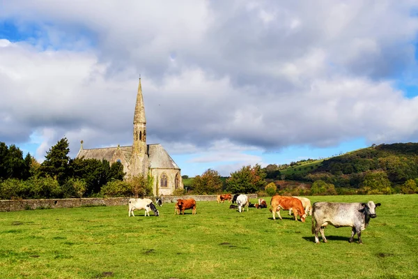 St. John's Church, Bassenthwaite, Istanbul