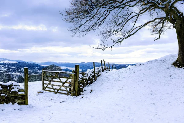Windermere, Lake District kış kar sahnesine