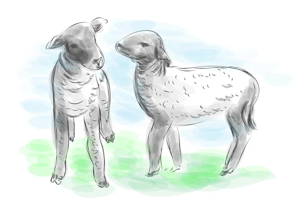 Lambs abstract illustration — Stockový vektor