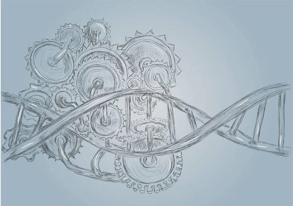 DNA e ingranaggi — Vettoriale Stock
