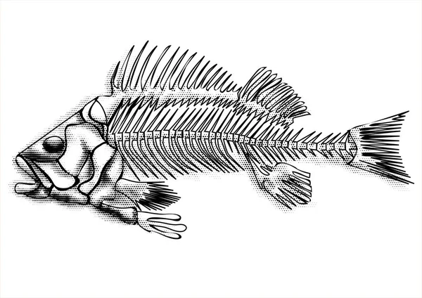 Esqueleto de peixe preto — Vetor de Stock