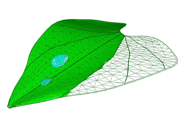 Feuille avec gouttes — Image vectorielle