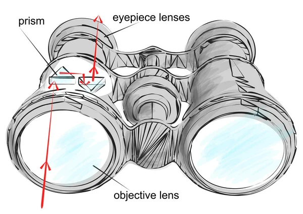 Illustration vectorielle binoculaire — Image vectorielle