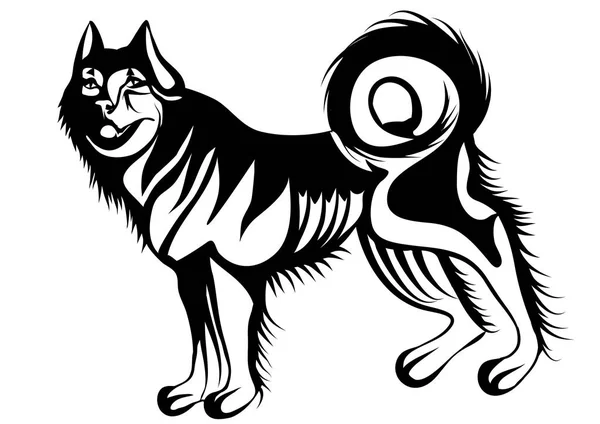 Husky Vector Ilustração — Vetor de Stock