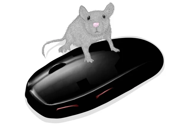 Maus und Maus — Stockvektor