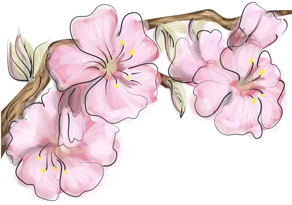 日本の桜の花 — ストックベクタ
