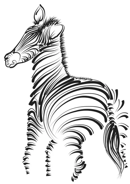 Zebra illüstrasyon vektör — Stok Vektör