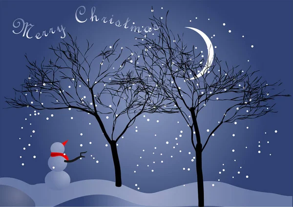 Ciel nocturne d'hiver et bonhomme de neige — Image vectorielle